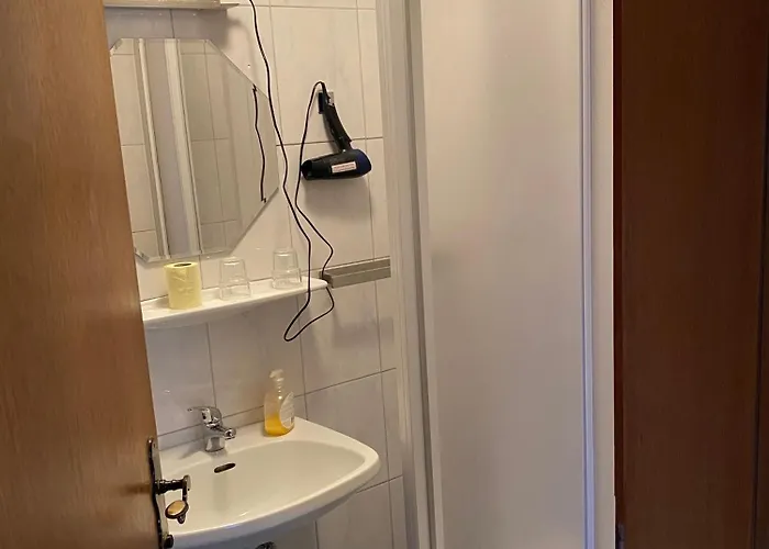 아파트 Flying Hirsch